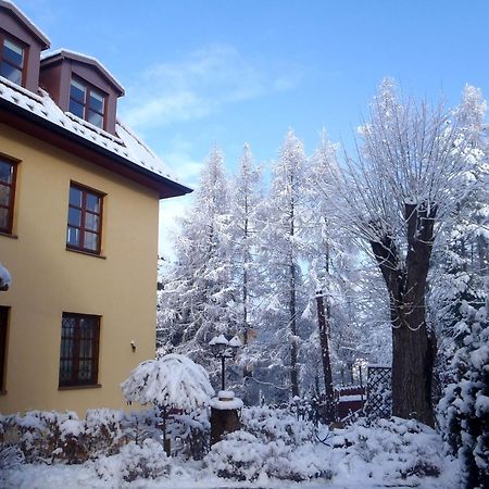 Villa Gorczanska Рабка Екстериор снимка
