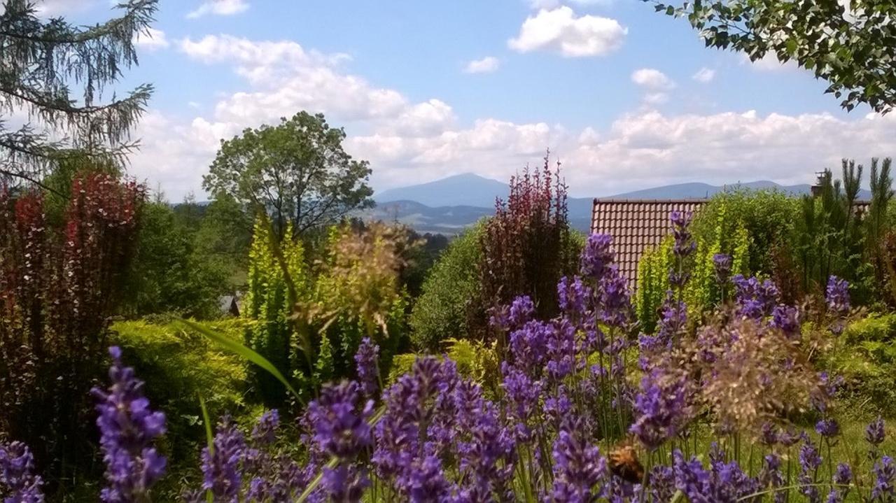 Villa Gorczanska Рабка Екстериор снимка